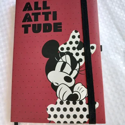 Carnet minnie